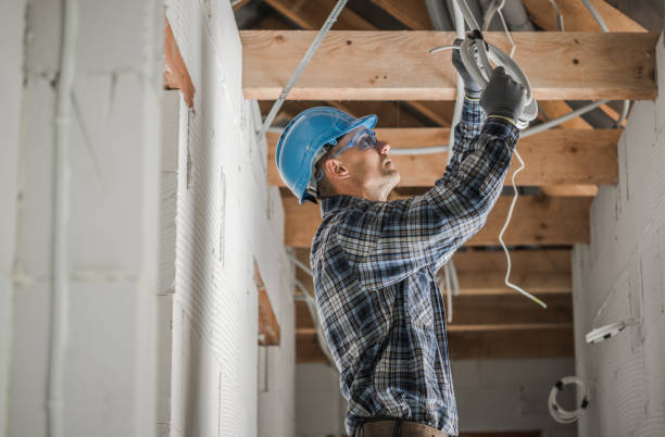 Best Electrical System Inspection  in Bladensburg, MD